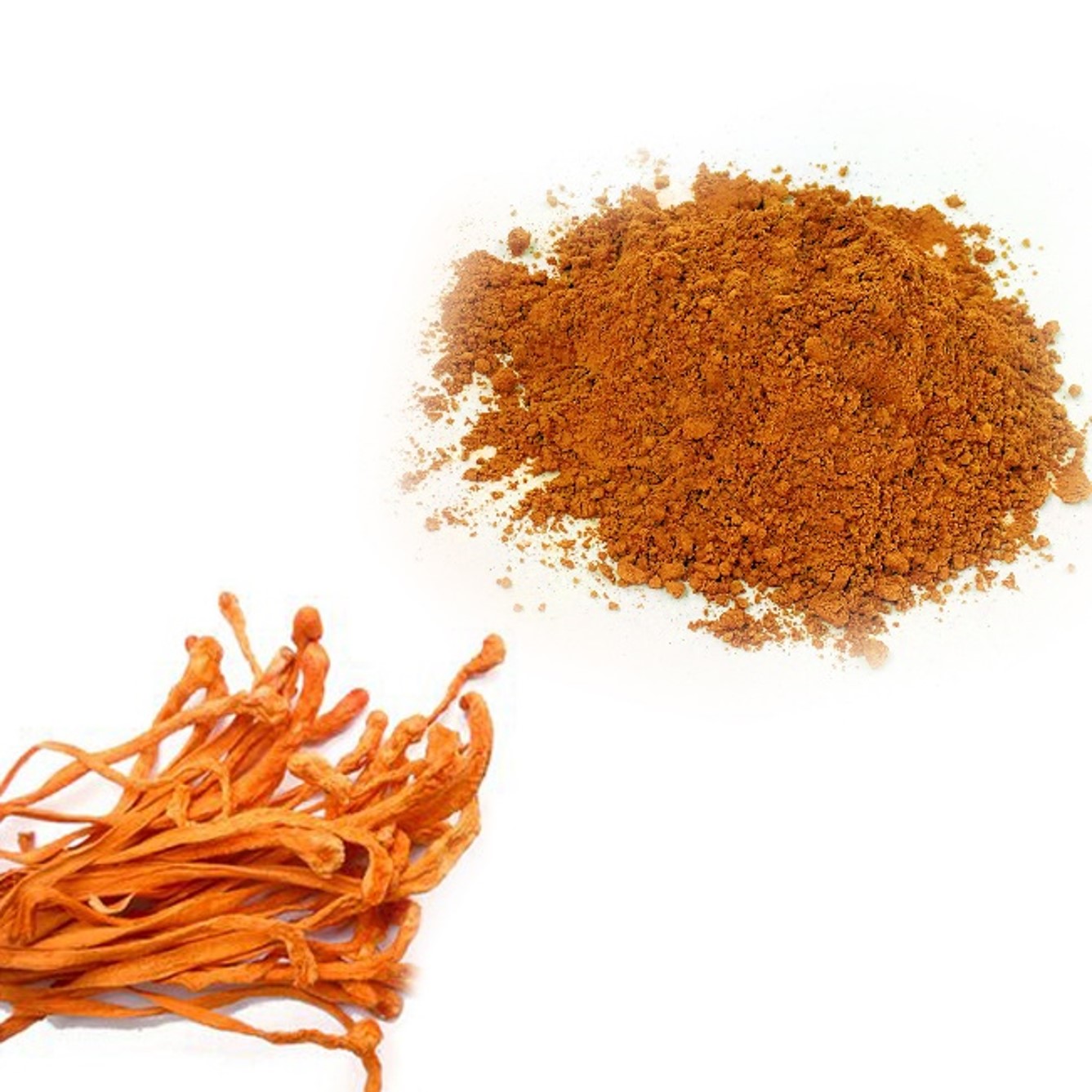 Dried cordyceps powder.jpg